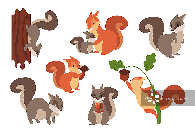 卡通野生毛茸茸的松鼠们在玩耍图片素材