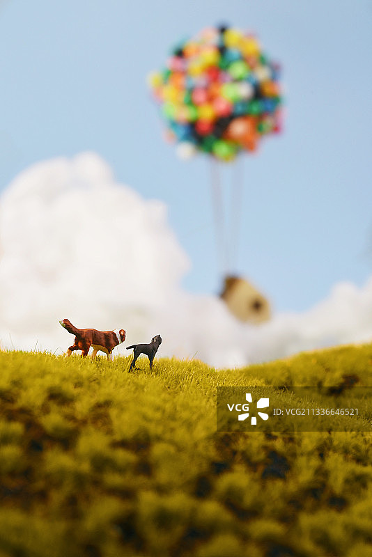 回家的路图片素材