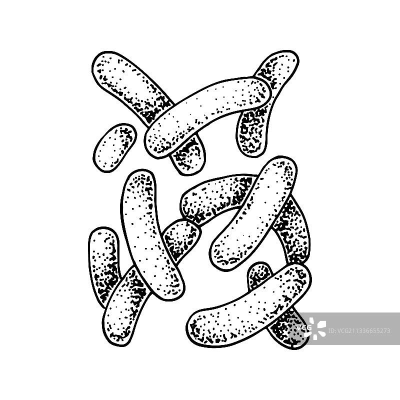 手绘益生菌丙酸杆菌图片素材