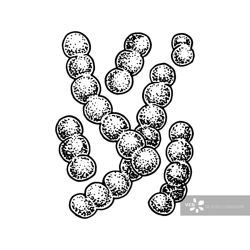 手绘益生菌乳球菌图片素材