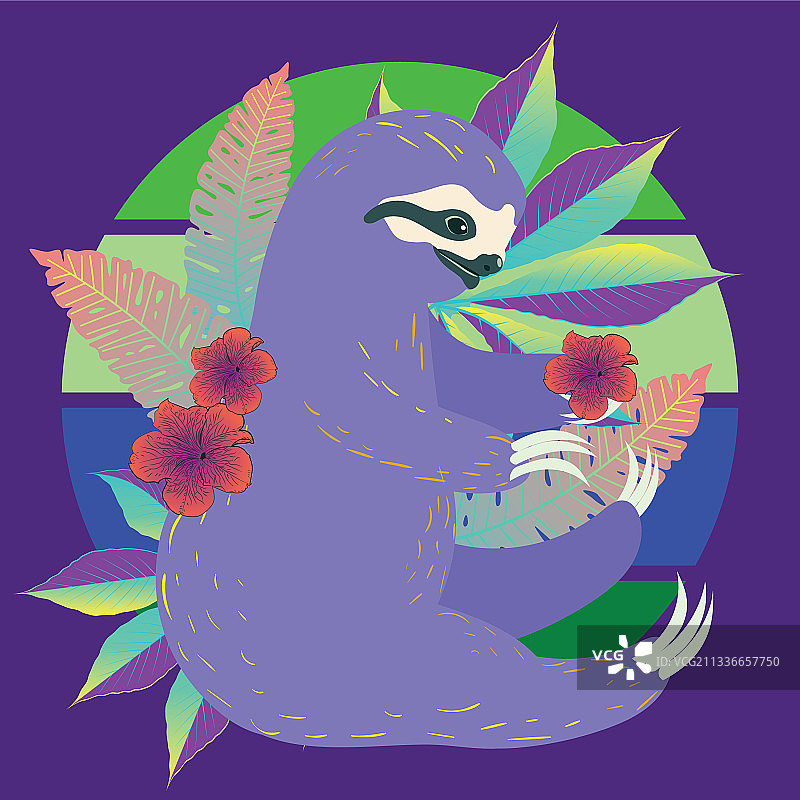 树懒与热带植物瑜伽图片素材