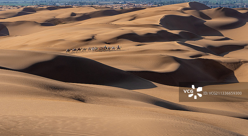 大漠驼队图片素材