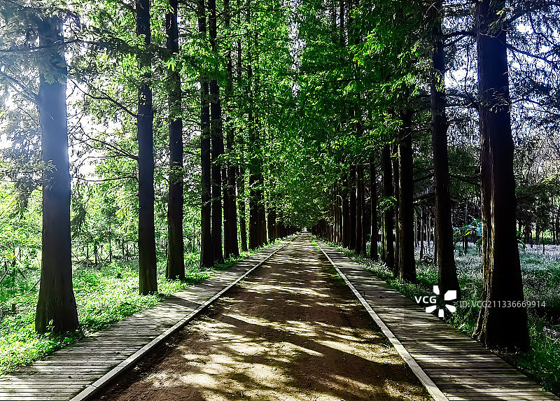 新沙岛旅游度假区图片素材