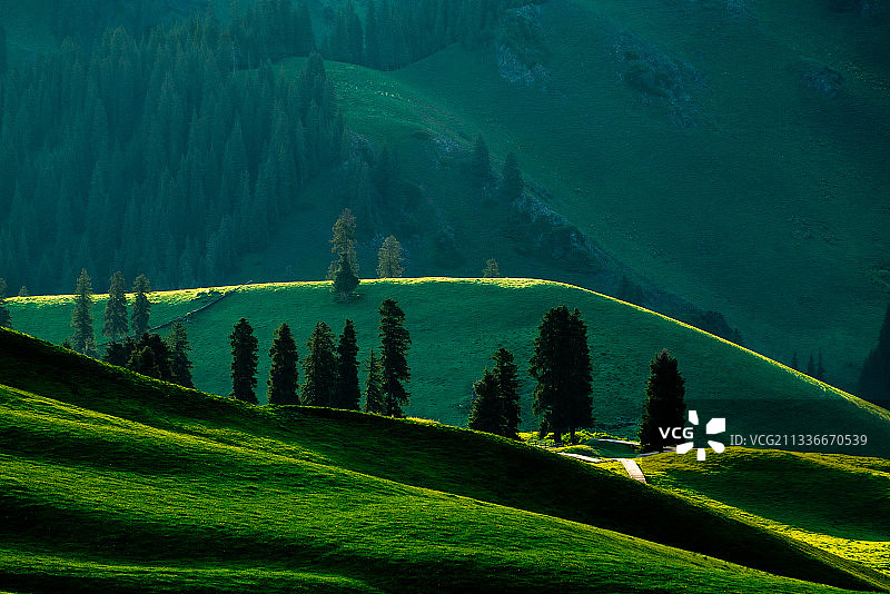 草原新疆江布拉克赛里木湖那拉提琼库什台巴音布鲁克夏天森林图片素材