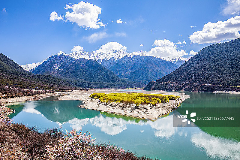 西藏林芝雪域桃花雪山桃树自然风光图片素材