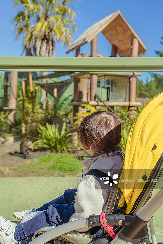 坐着婴儿车逛野生动物园图片素材