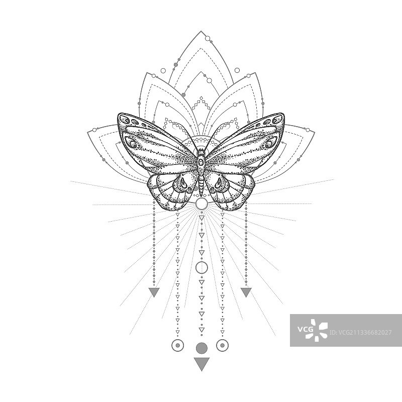 蝴蝶和神圣几何符号图片素材