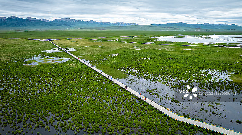 诺尔盖花湖图片素材