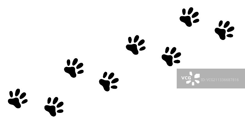 猫狗爪子脚印对角线足迹图片素材
