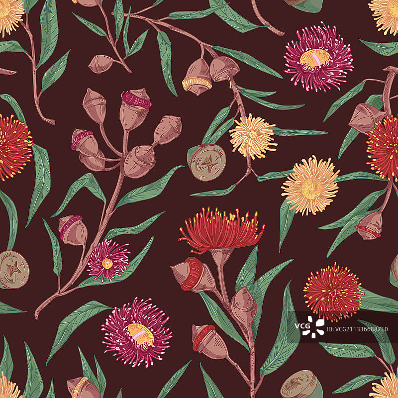 盛开桉树无缝花卉图案图片素材