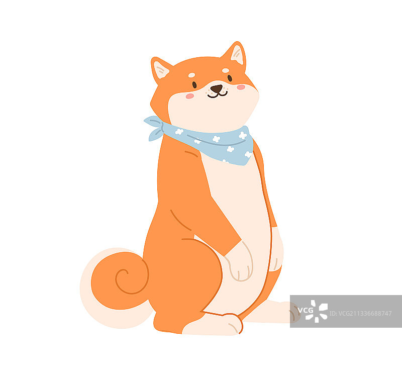 可爱的日本犬图片素材