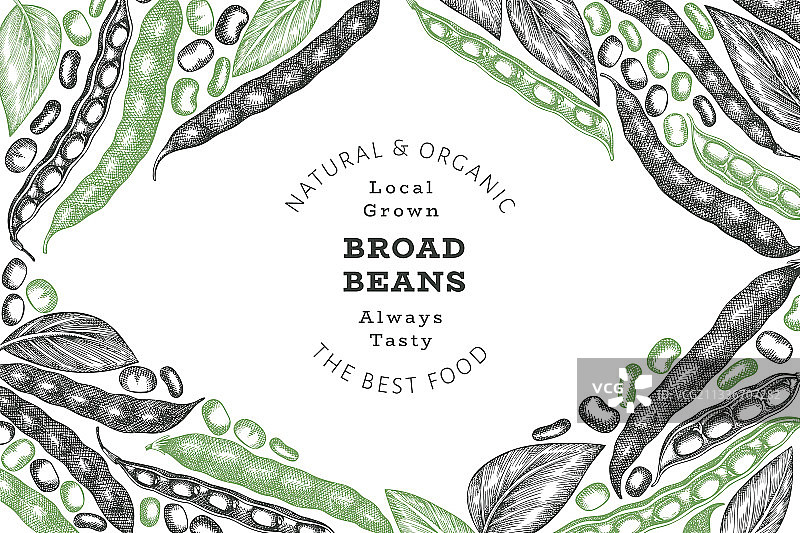 手绘蚕豆设计模板图片素材