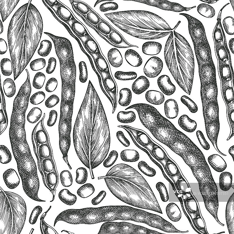 手绘蚕豆有机无缝图案图片素材