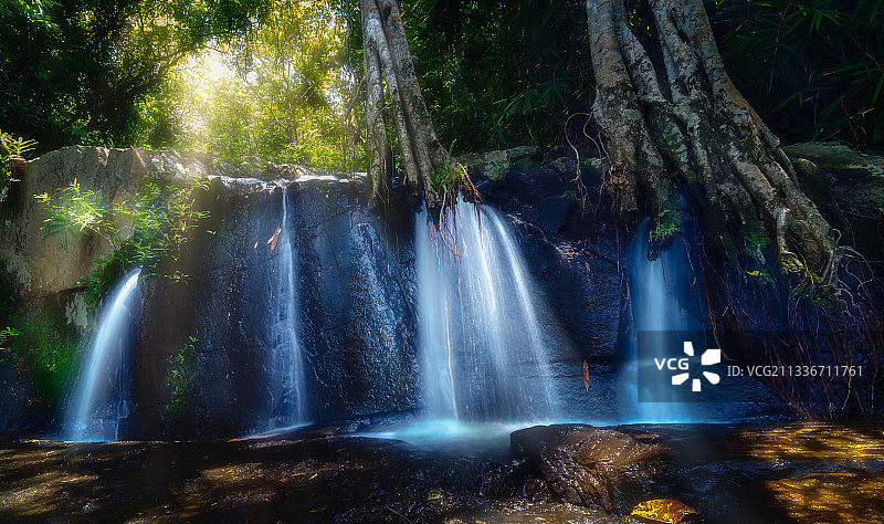 海南三亚保亭呀诺哒热带雨林景区风光图片素材