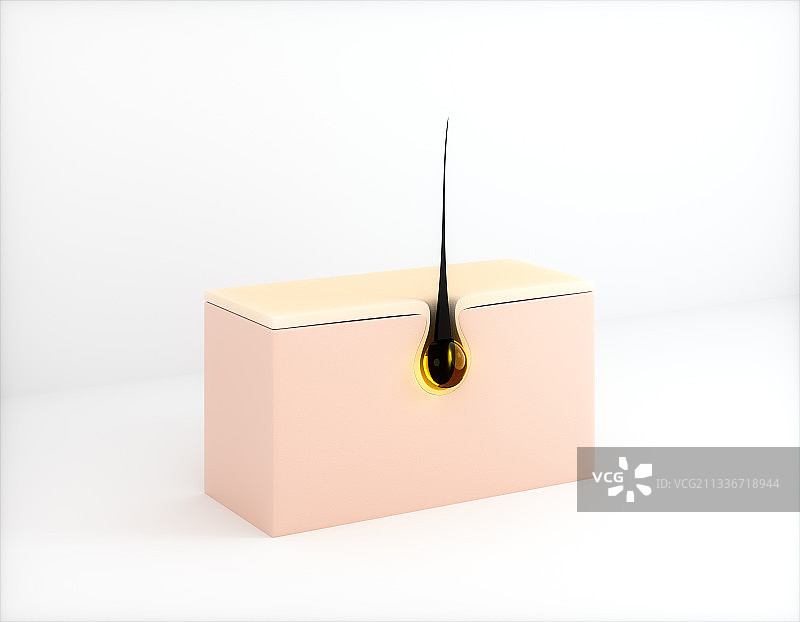 3d渲染的头发微观图像图片素材