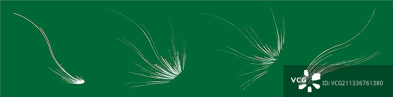 有机杂草般的弯曲线条图片素材