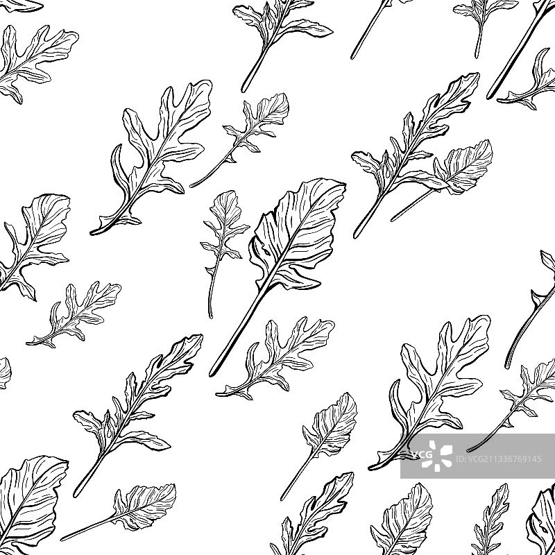 芝麻菜叶无缝图案图片素材