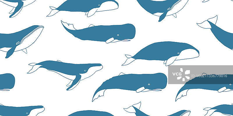 野生鲸鱼无缝图案设计图片素材