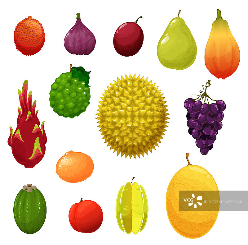 热带水果农场扁平图标图片素材