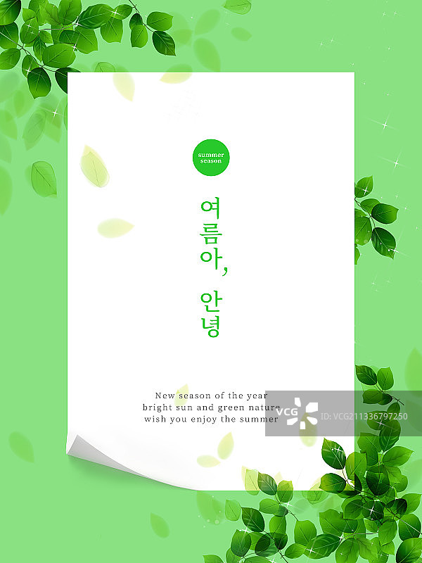 树叶植物绿色邀请函夏季边框图片素材