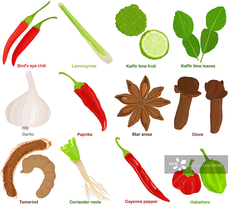 香草蔬菜 - 辣椒柠檬草图片素材