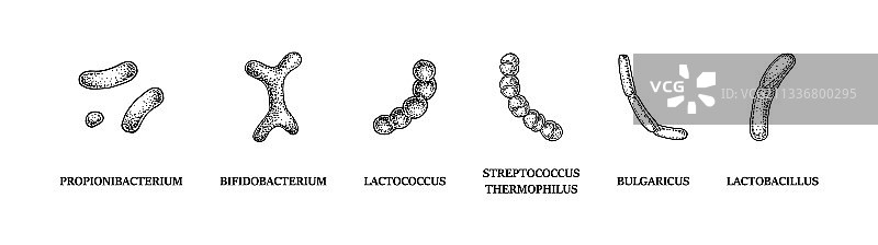 手绘益生菌细菌素材图片素材