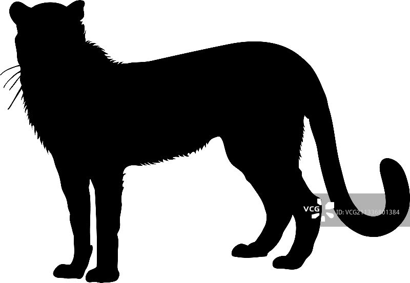 猎豹剪影图片素材