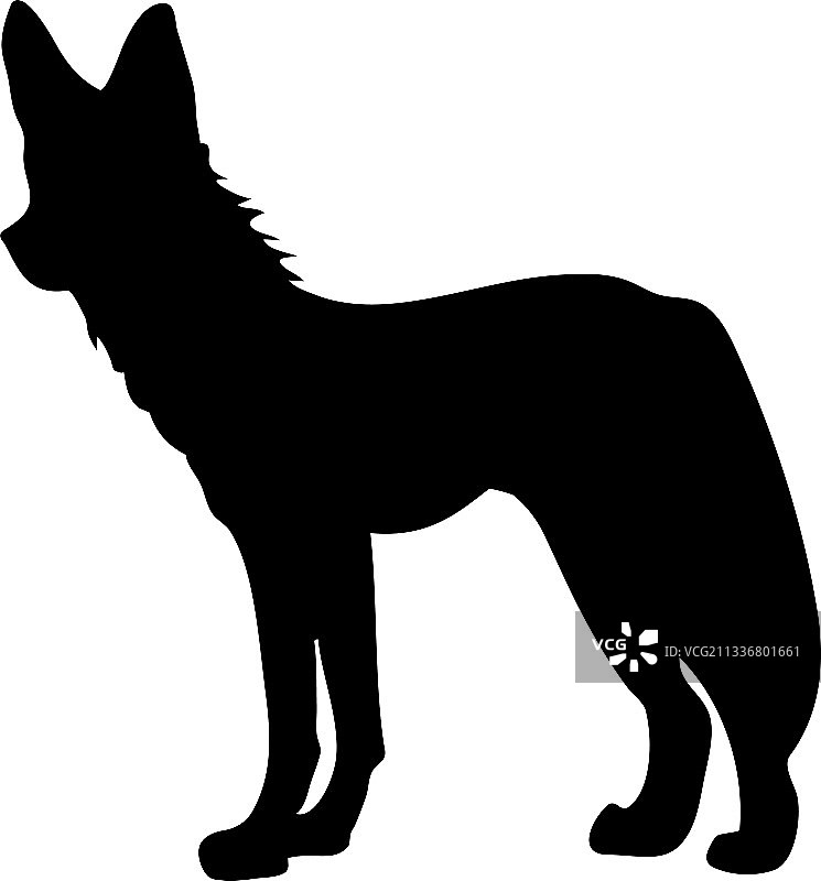 鬣狗剪影图片素材