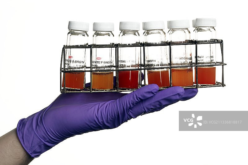 用于沙门氏菌的亚硒酸盐培养液图片素材