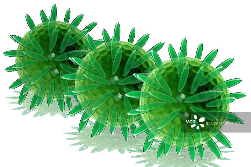 疱疹病毒艺术图图片素材