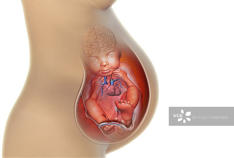 怀孕艺术作品图片素材