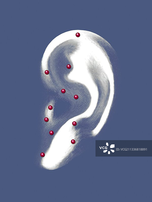 耳部针灸艺术图图片素材