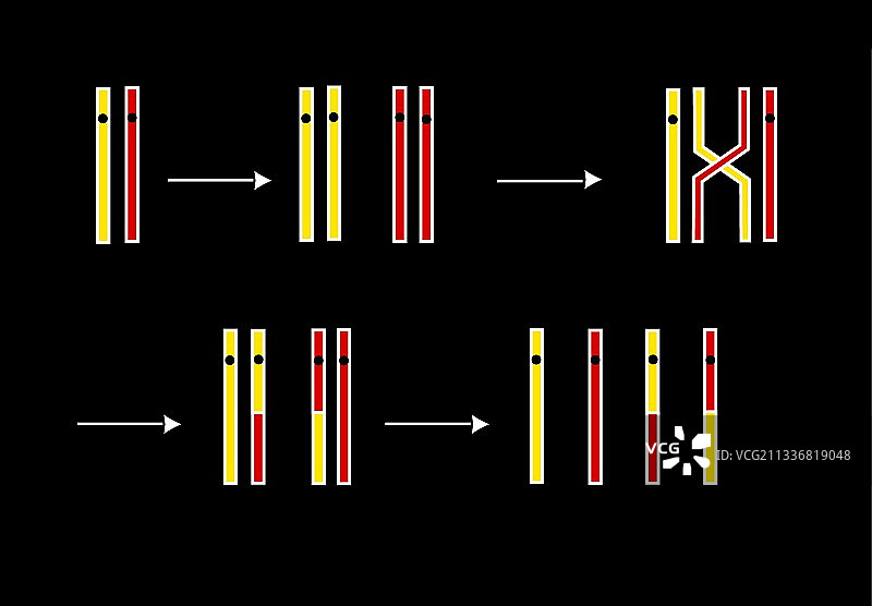 跨越艺术作品图片素材