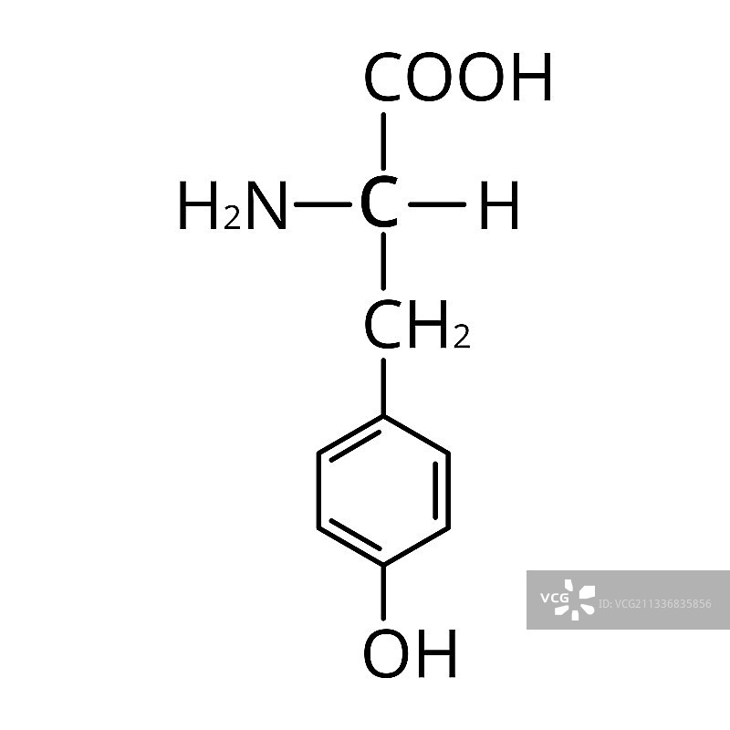 氨基酸酪氨酸化学分子图片素材