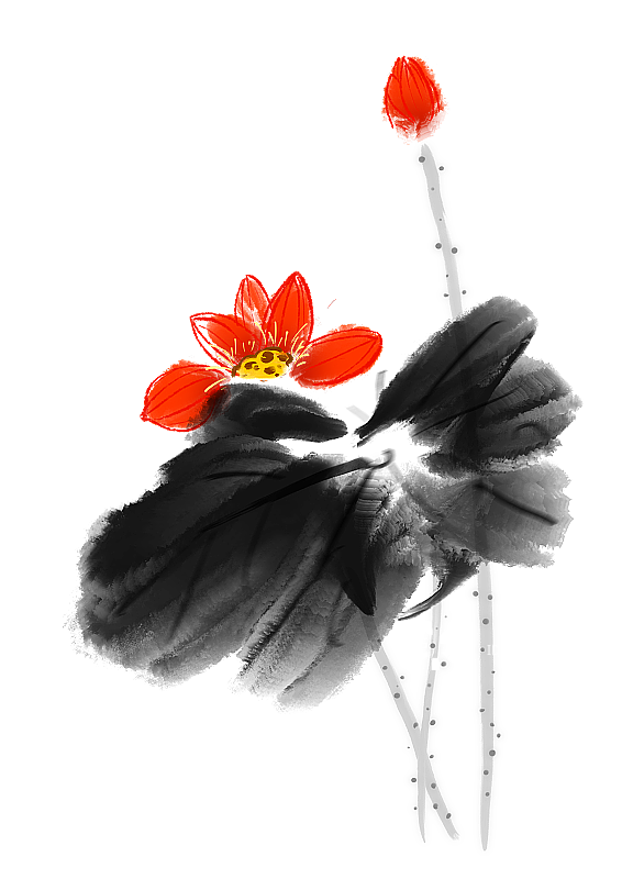 夏天水墨中国风传统文化元素荷花植物图片素材