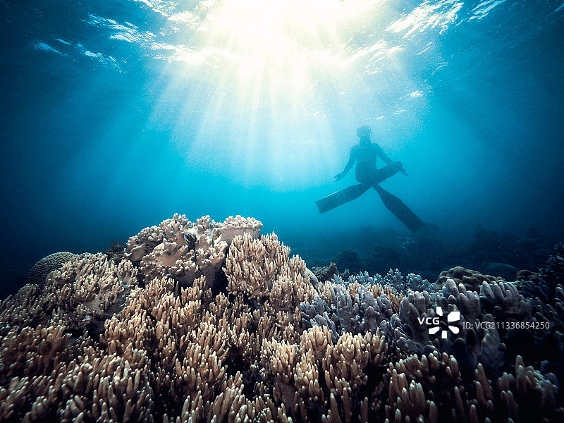 蜈支洲岛图片素材