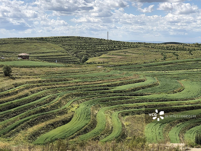 草原天路风景图片素材