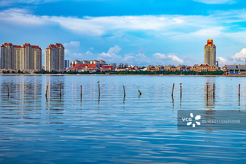 杏林湾水库 | 厦门集美图片素材