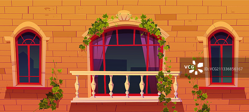 古建筑外墙上的常春藤图片素材