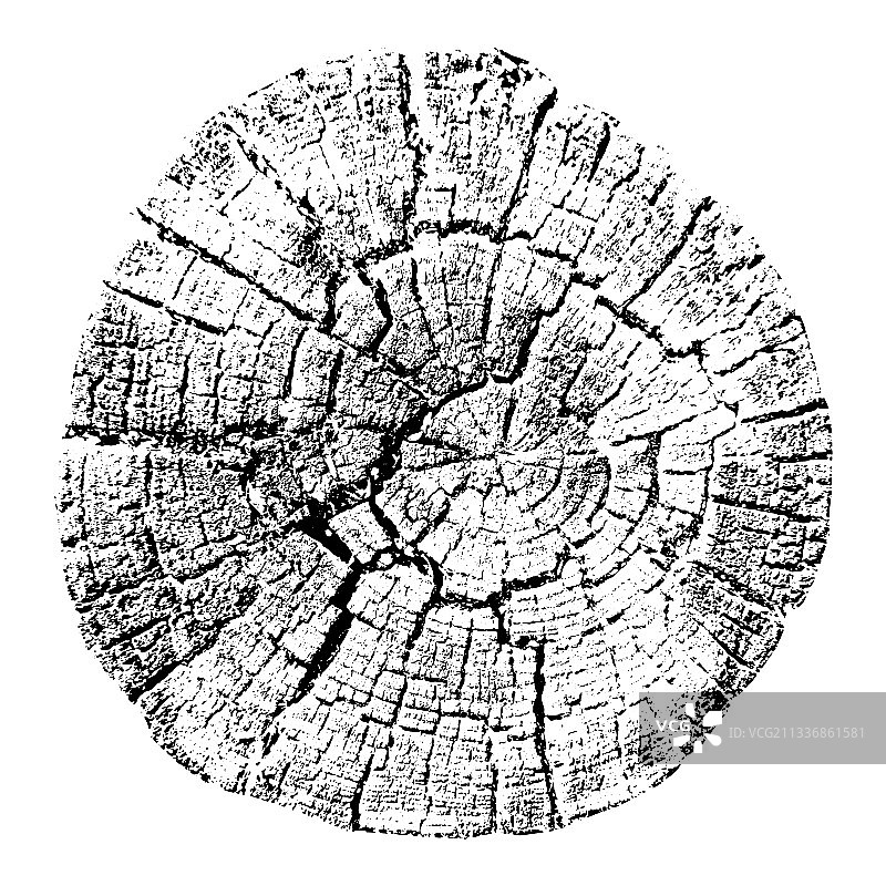 树木生长年轮天然切割木材痕迹图片素材