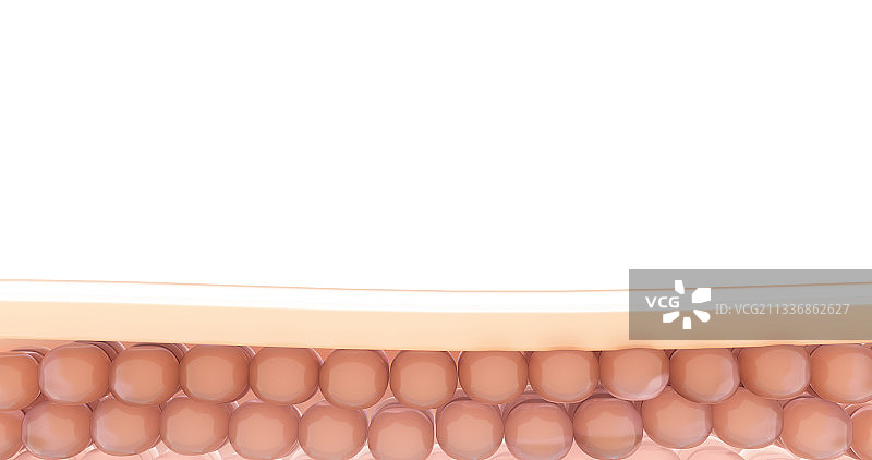 3d渲染的皮肤细胞微观模型图片素材