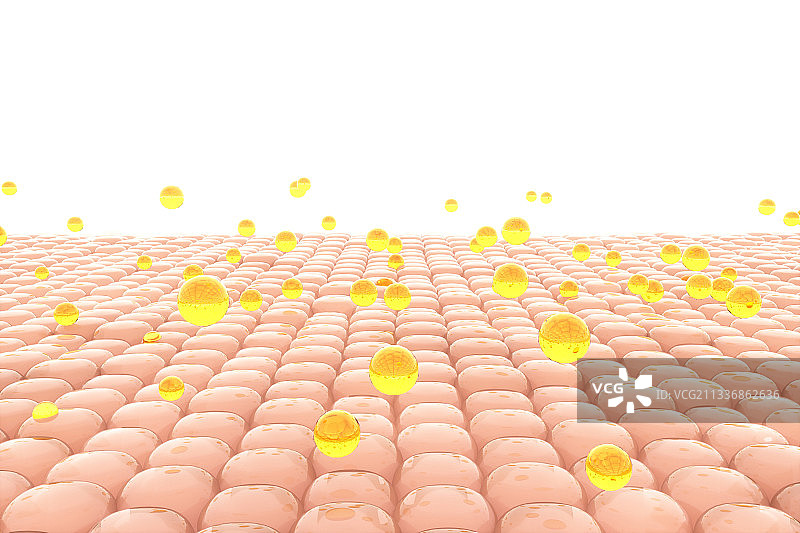 3d渲染的皮肤细胞微观模型图片素材