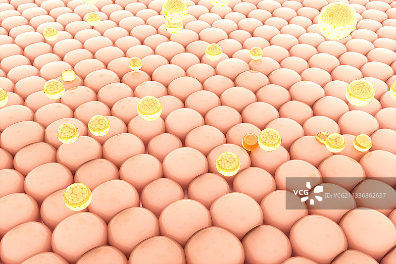 3d渲染的皮肤细胞微观模型图片素材
