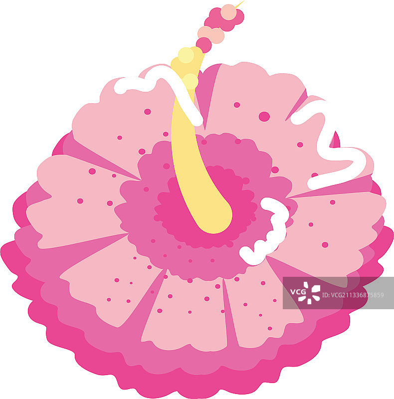 热带芙蓉花图片素材