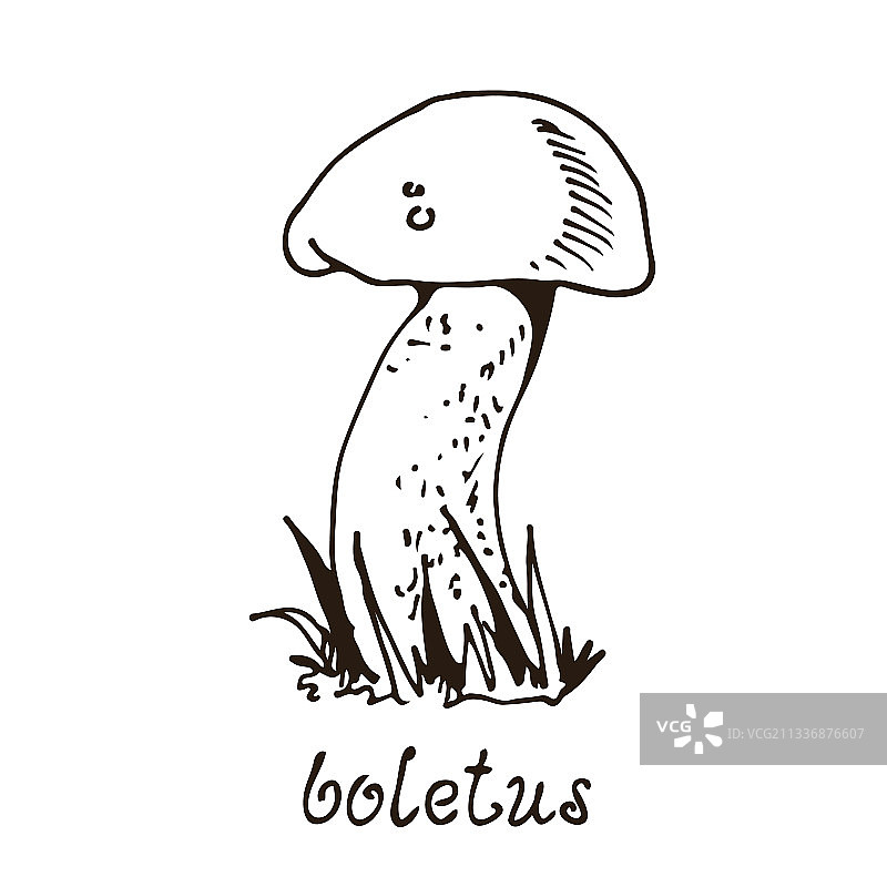 手绘森林蘑菇图片素材