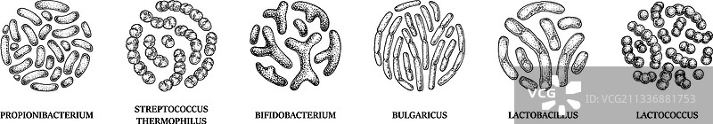 手绘益生菌细菌素材图片素材