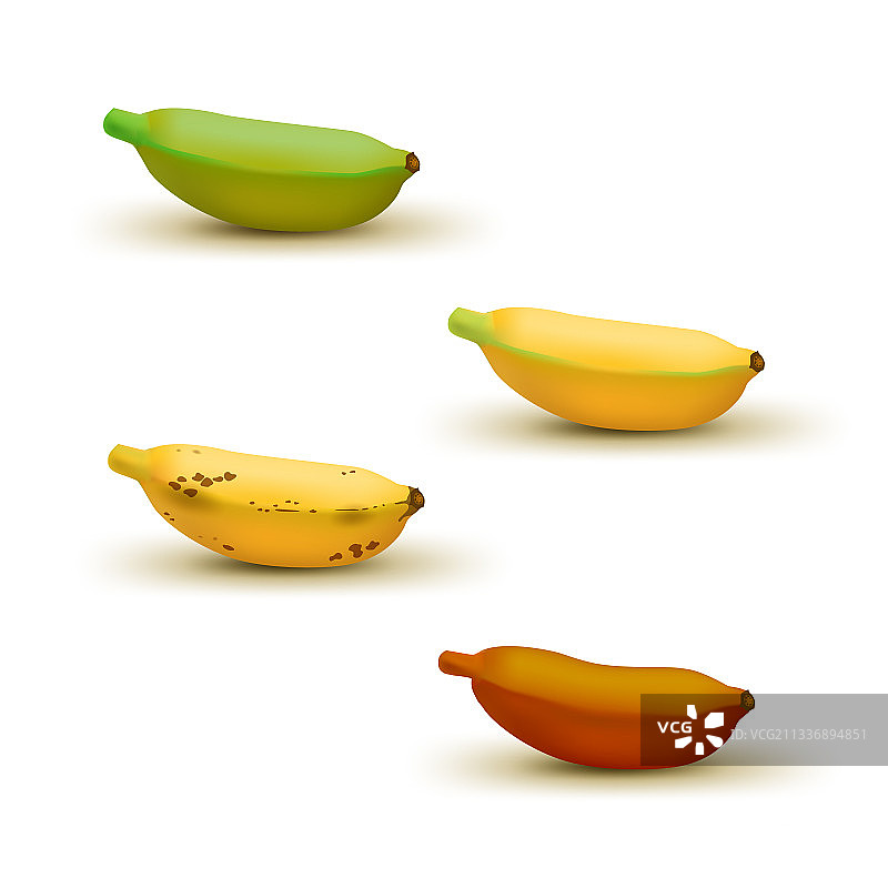 逼真的香蕉成熟度图表图片素材