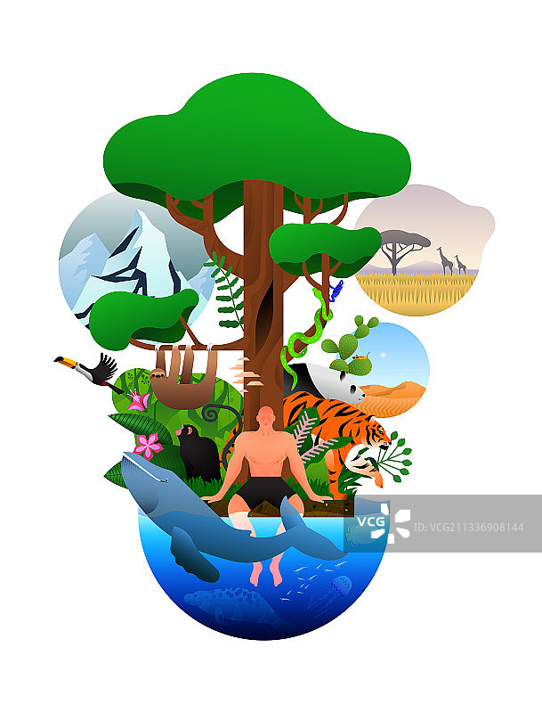 野生动物自然生物多样性概念图片素材