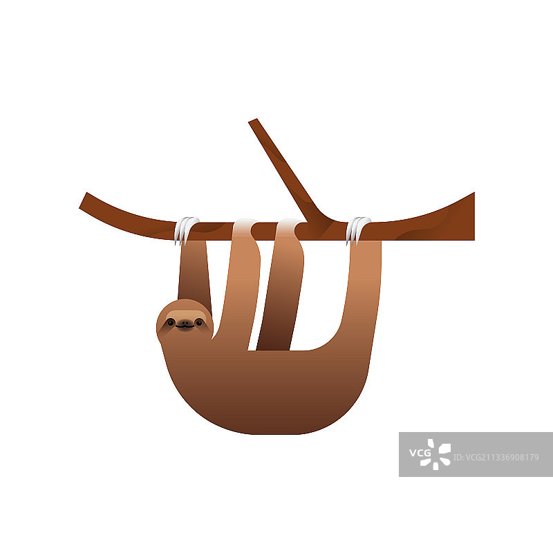 快乐的树懒动物图片素材