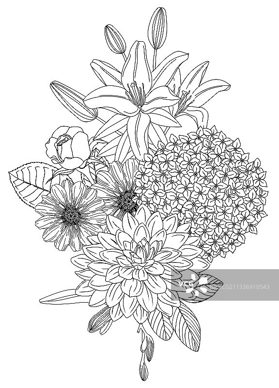 夏季花卉轮廓排列图片素材